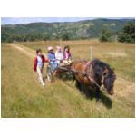 Balade avec Bourriquet