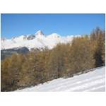 Sommet au dessus des m�l�zes