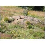 IMG_1751_gp_tcp.html