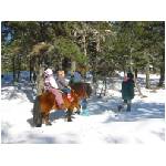 Balade avec Bourriquet