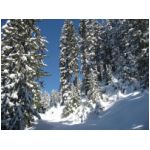 50 cm de neige fra�che